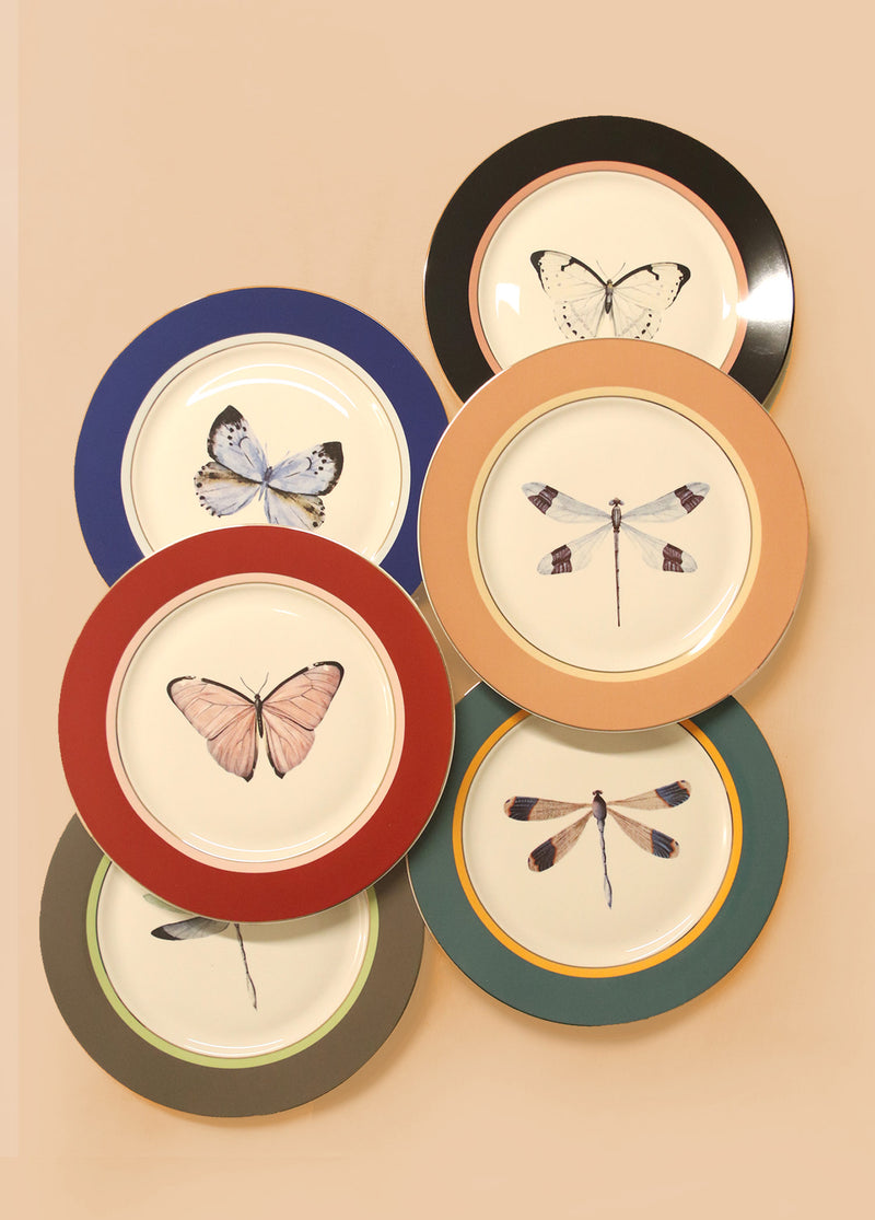 Blossom Collection Porcelain Dinner Plates, Set of 6