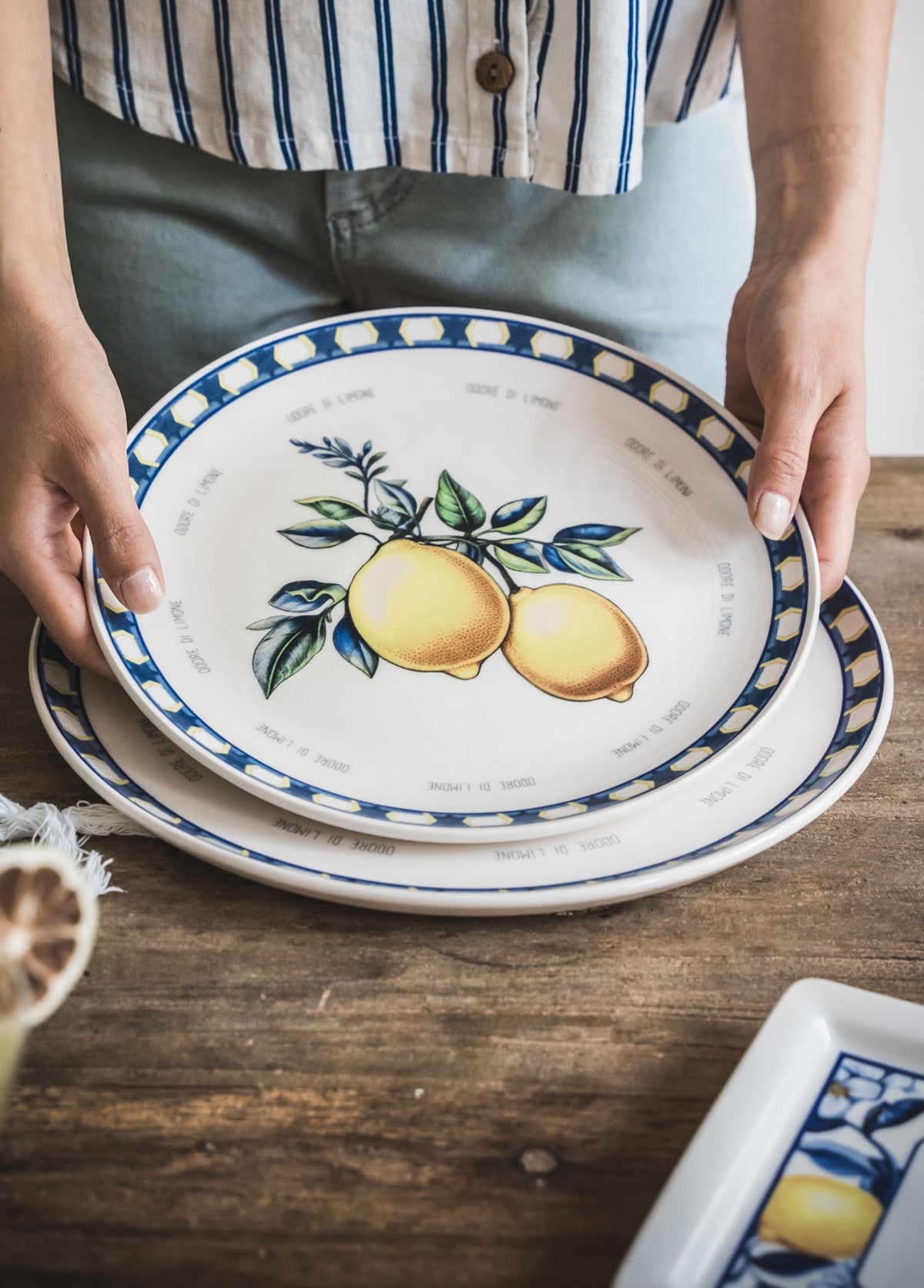 Odore Di Limone Collection Dinner Plates, Set of 6
