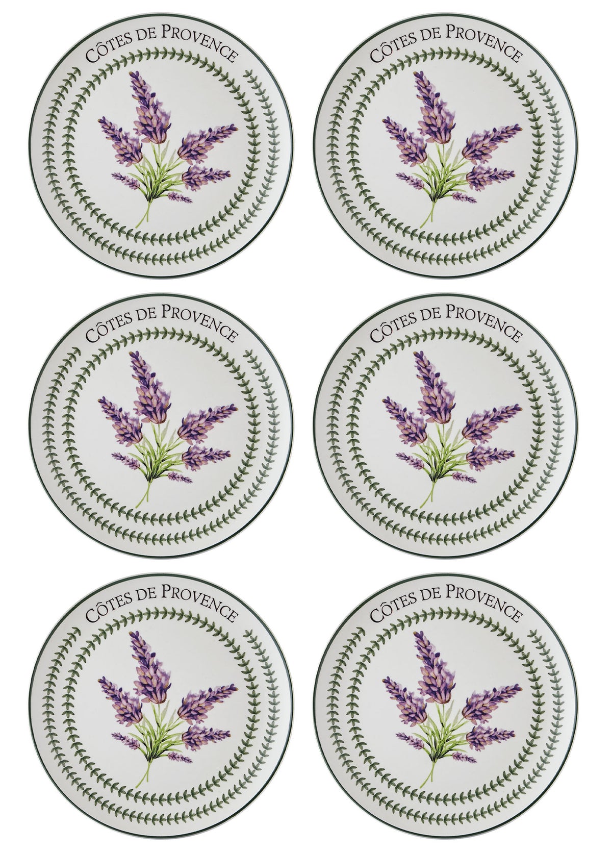 Provence Collection Dinner Plates, Set of 6