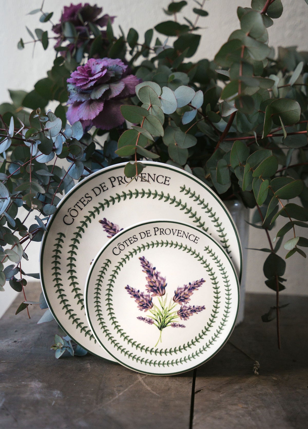 Provence Collection Dinner Plates, Set of 6